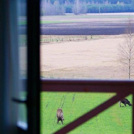 Losiowy Kat Goniądz Extérieur photo